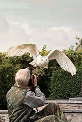 Arbeitsfoto by Klaus Palmetzhofer