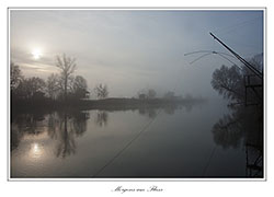 Bild des Monats Februar 2012