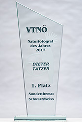 Trophäe aus Glas