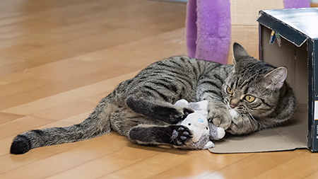 Gina mit Kuscheltierchen