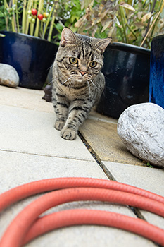 Gina und Gartenschlauch