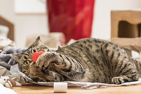 Gina und der Stressball