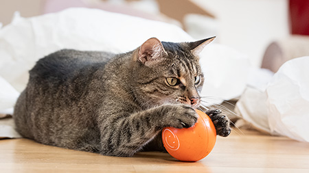 Gina und der Anti-Stress-Ball