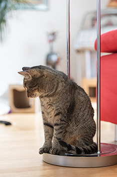 Lilly auf ihrer Rettungsinsel